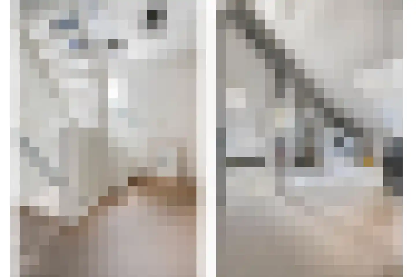 Dennenhei 40 Best thumbnail 29