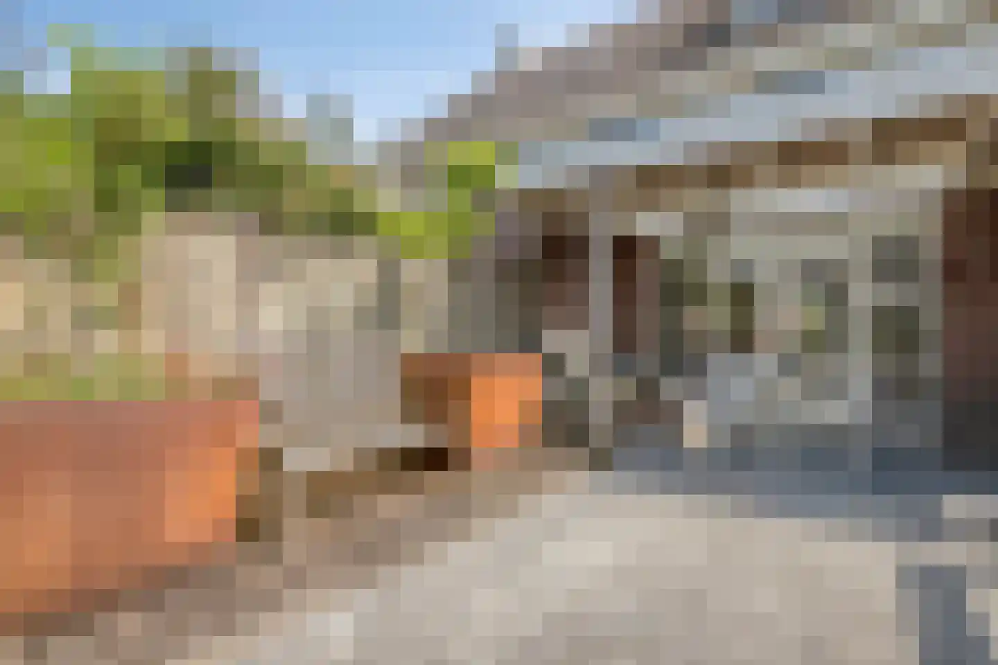 Dennenhei 40 Best thumbnail 35