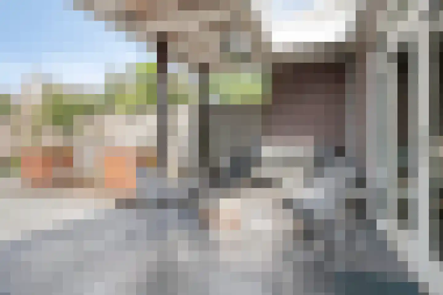 Dennenhei 40 Best thumbnail 36
