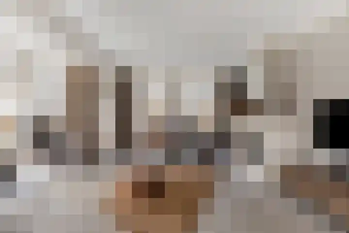 Dennenhei 41 Best thumbnail 10