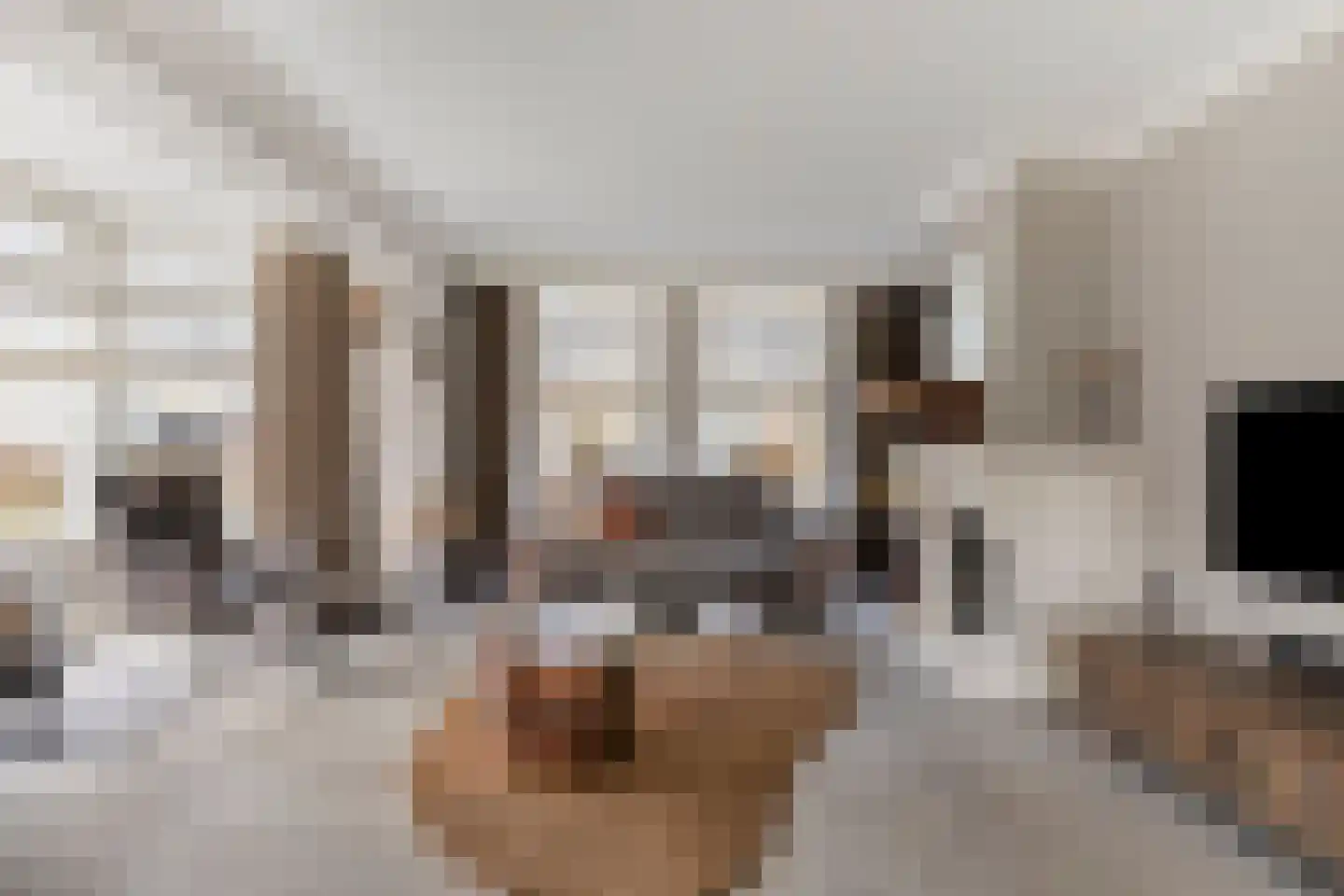 Dennenhei 41 Best thumbnail 10