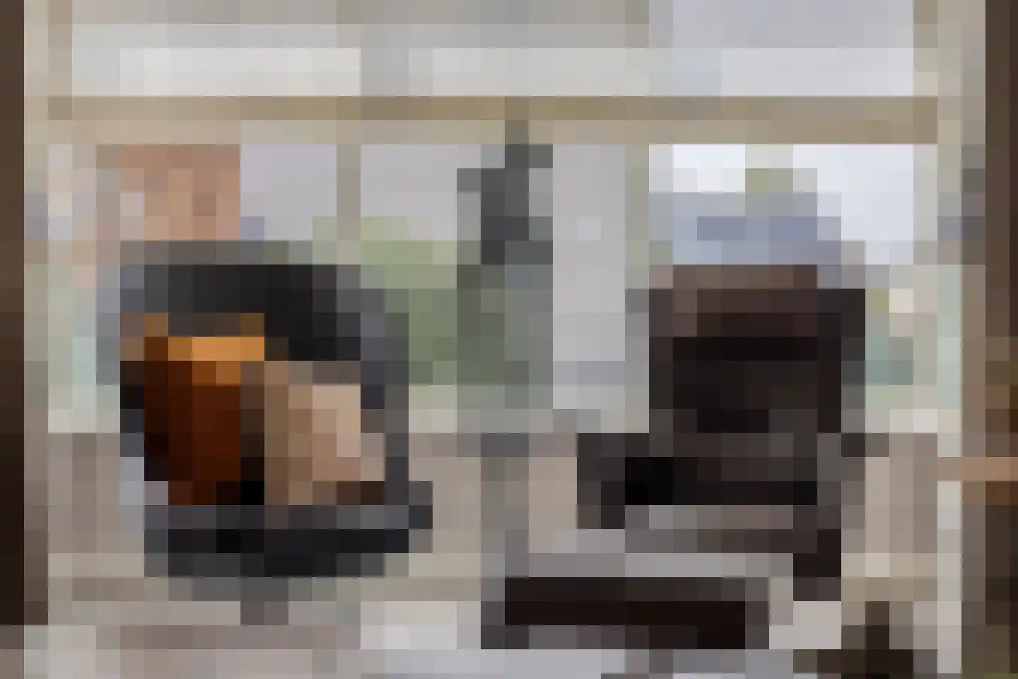 Dennenhei 41 Best thumbnail 13