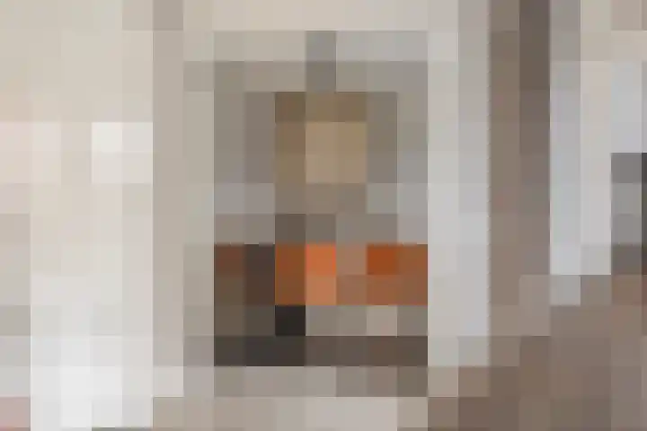 Dennenhei 41 Best thumbnail 17