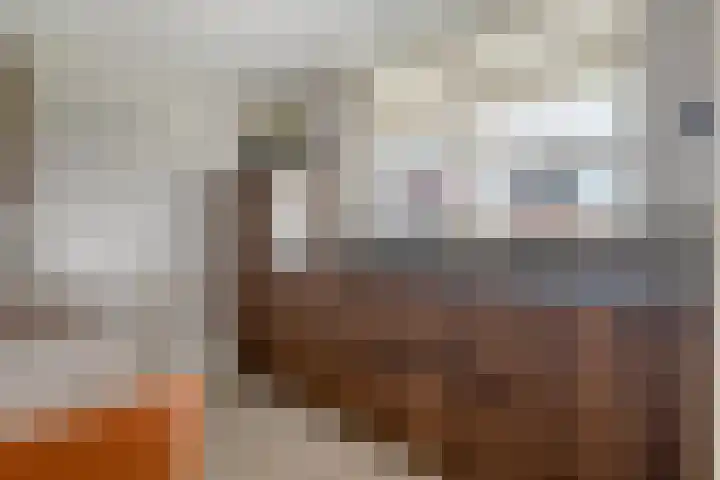 Dennenhei 41 Best thumbnail 19