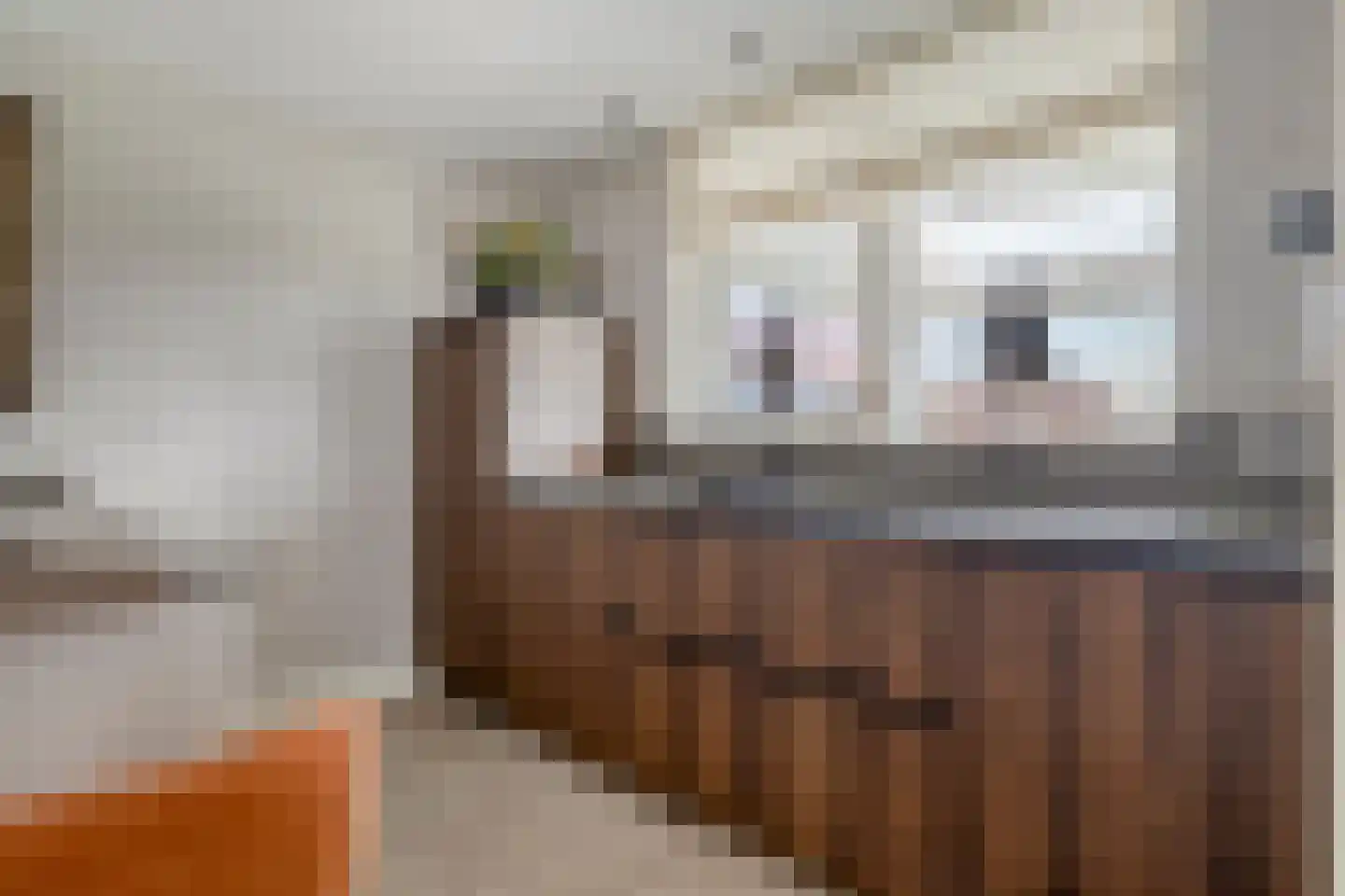 Dennenhei 41 Best thumbnail 19