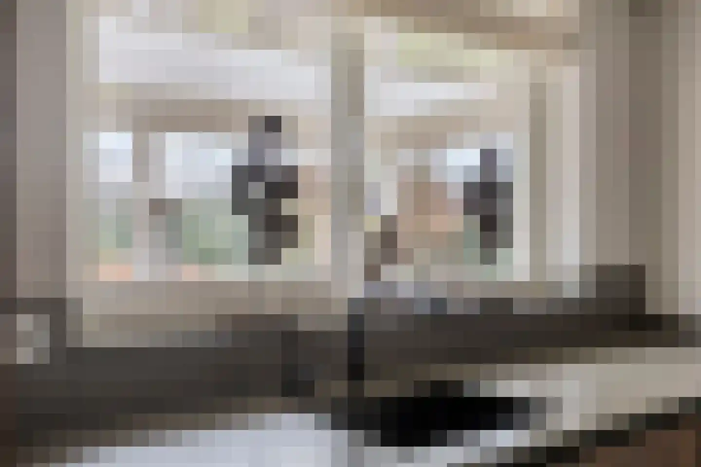 Dennenhei 41 Best thumbnail 20