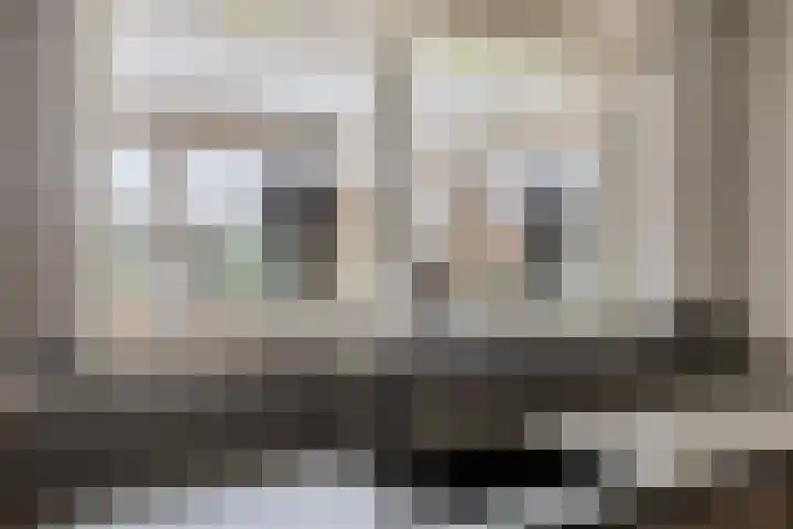 Dennenhei 41 Best thumbnail 20