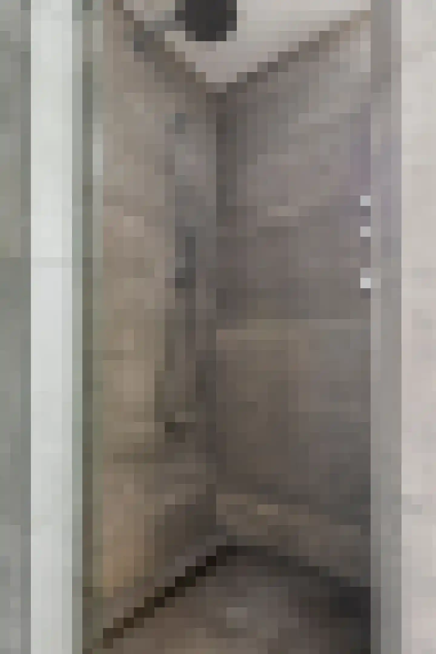 Dennenhei 41 Best thumbnail 32