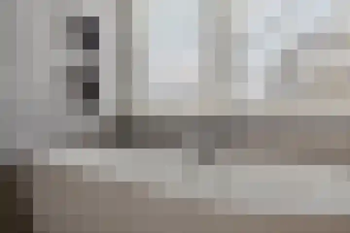 Dennenhei 41 Best thumbnail 34