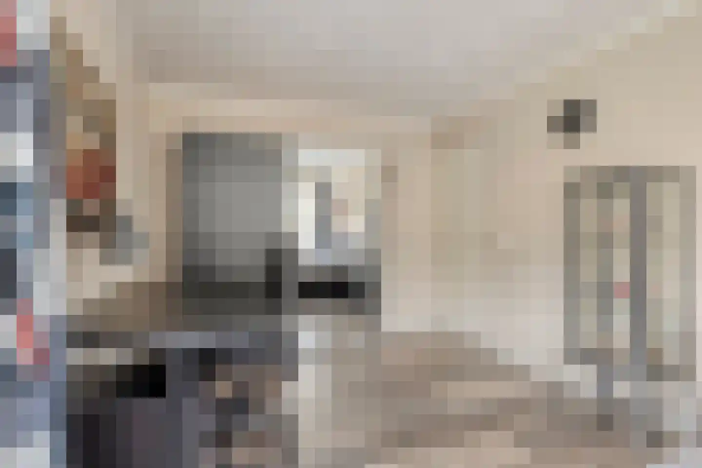 Dennenhei 41 Best thumbnail 36