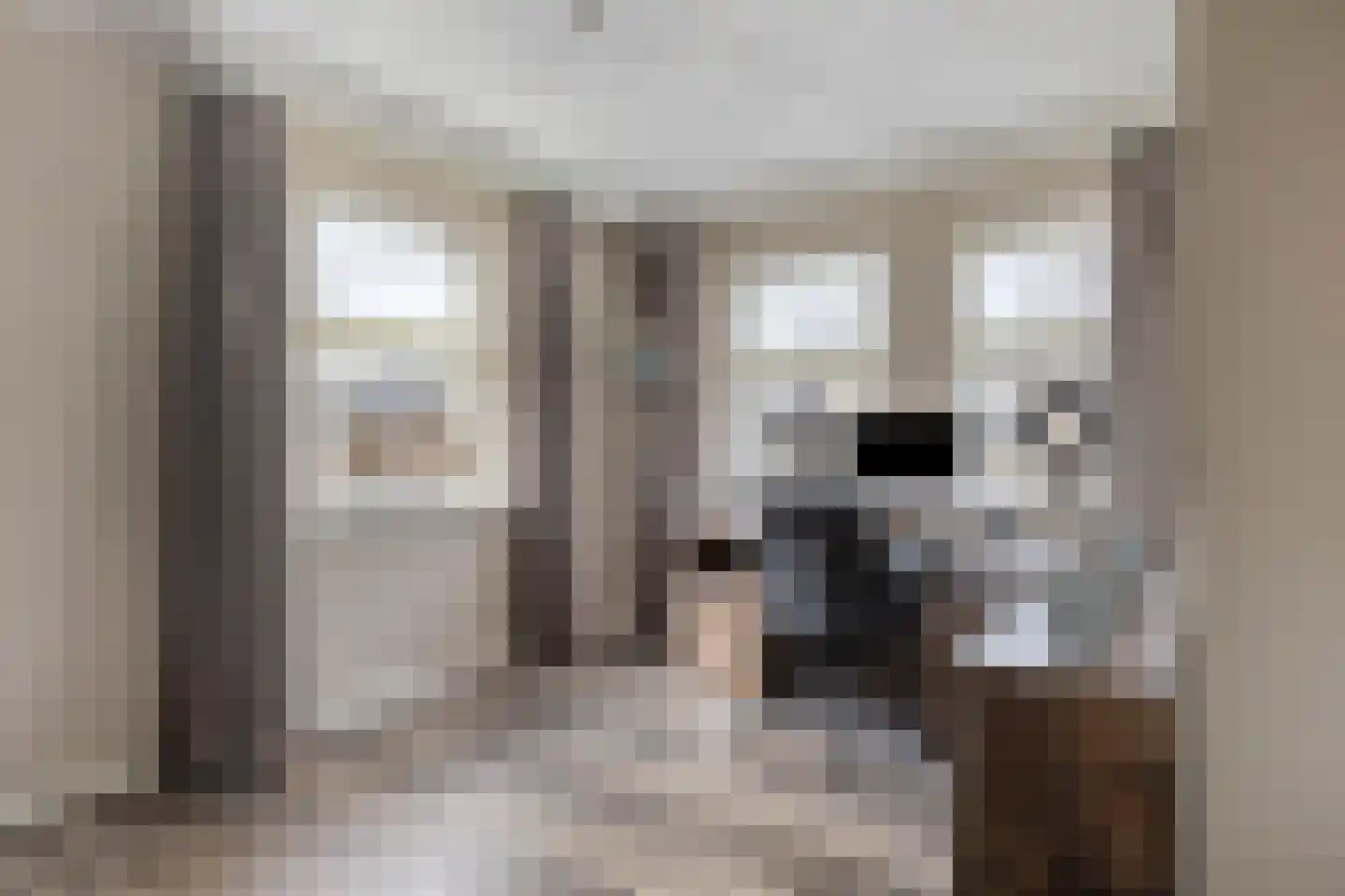 Dennenhei 41 Best thumbnail 39