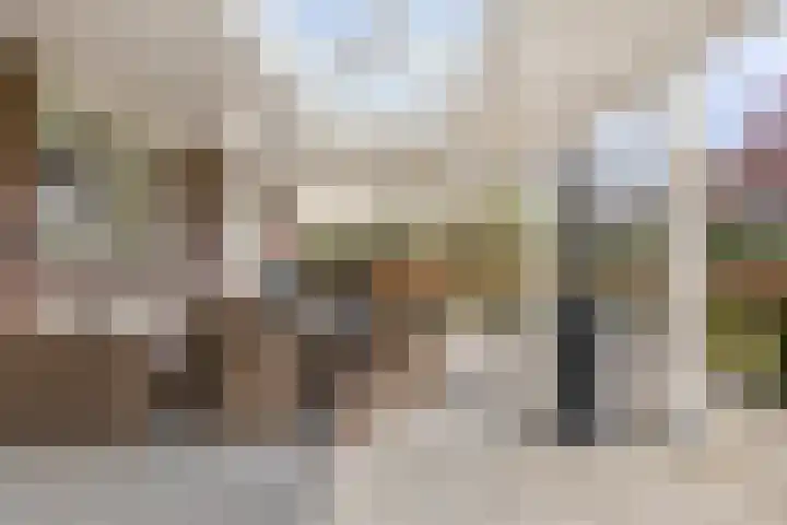 Dennenhei 41 Best thumbnail 43