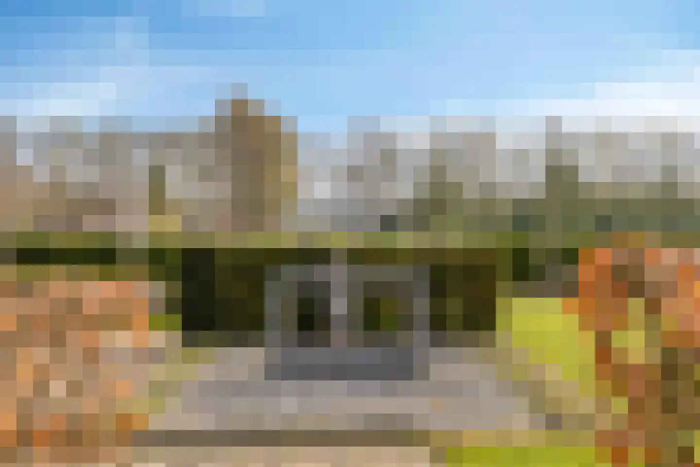 Dennenhei 41 Best thumbnail 47