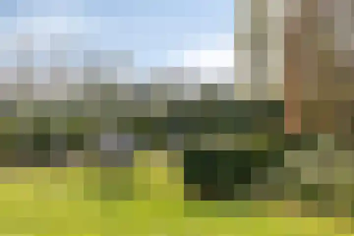 Dennenhei 41 Best thumbnail 48