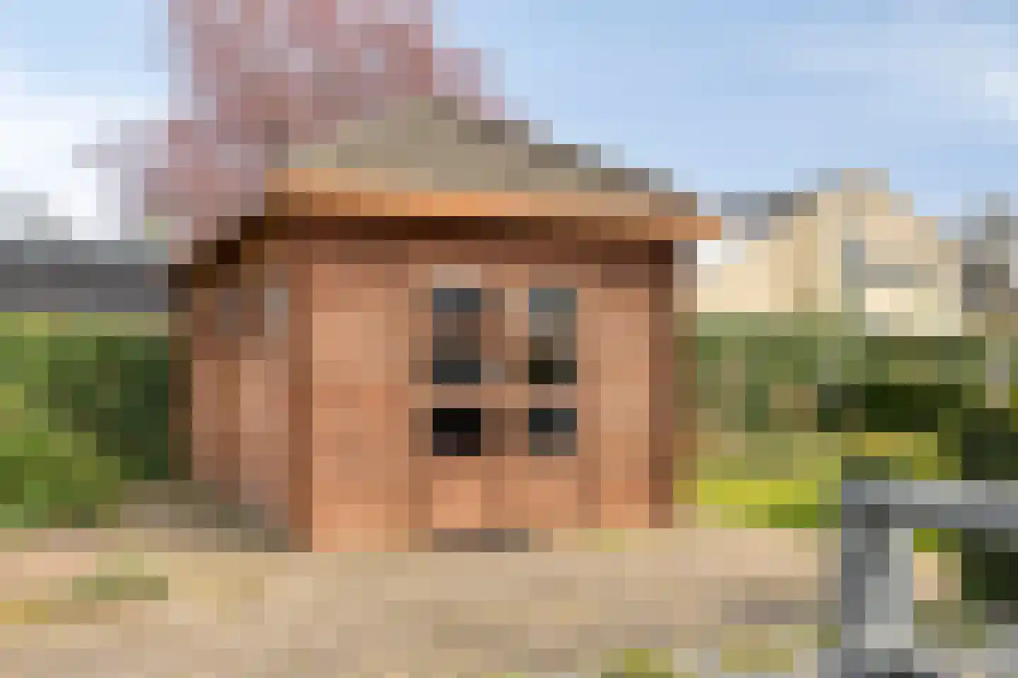 Dennenhei 41 Best thumbnail 49
