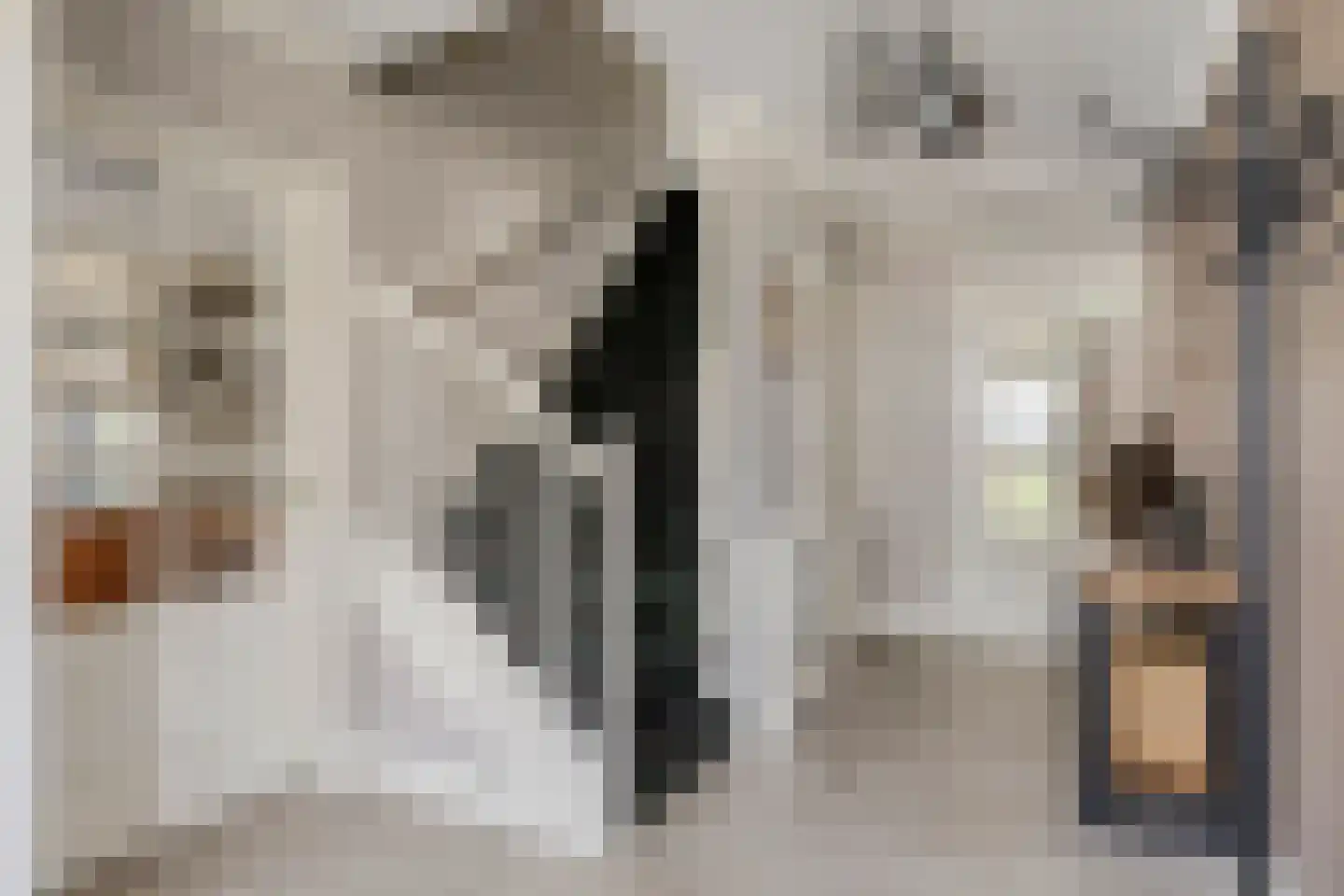 Dennenhei 41 Best thumbnail 5