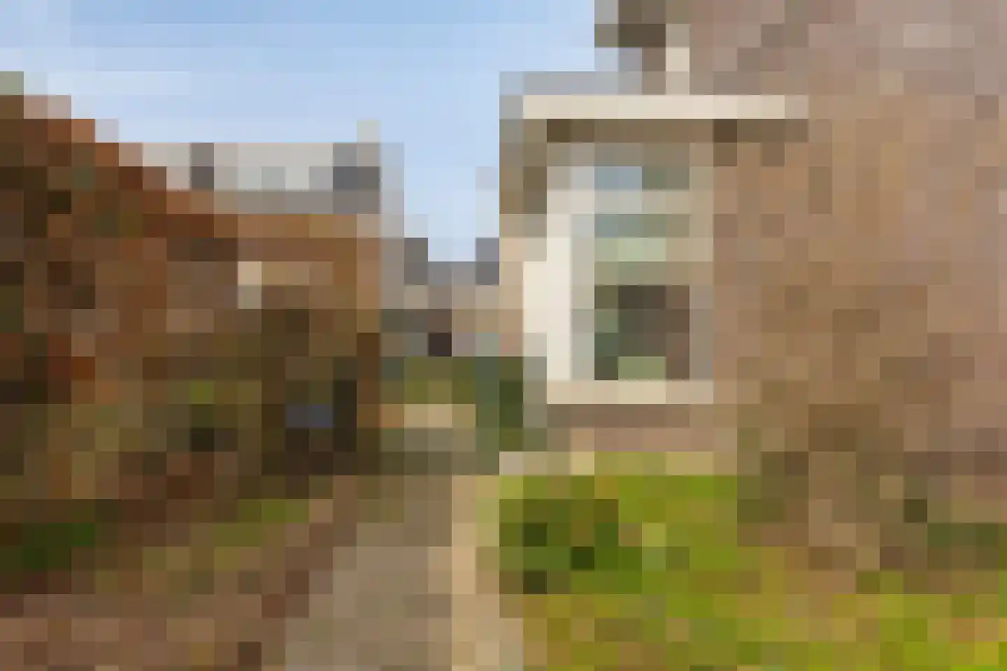 Dennenhei 41 Best thumbnail 50