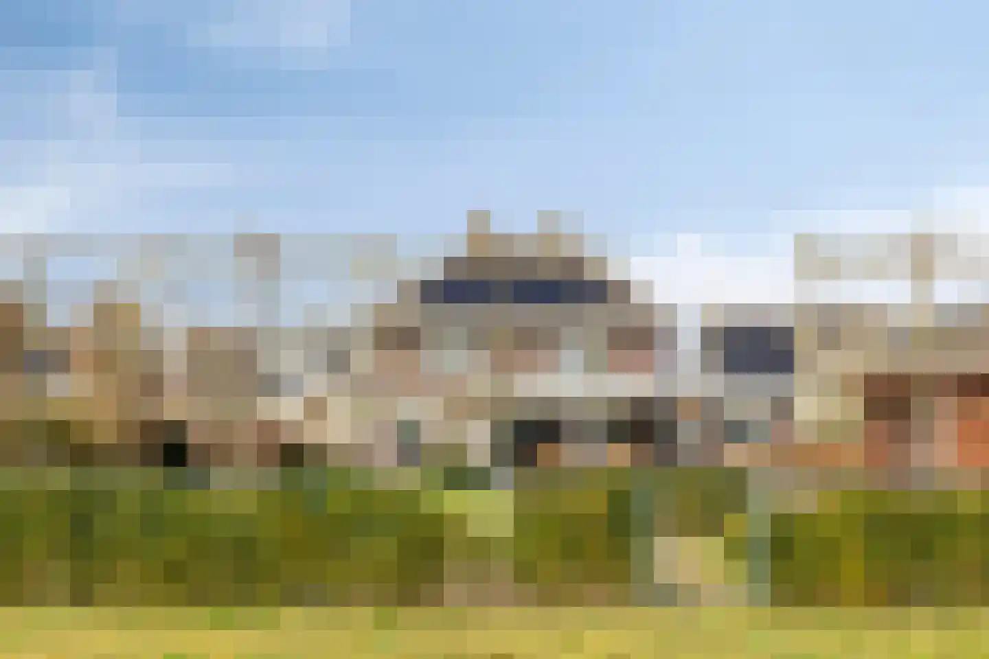 Dennenhei 41 Best thumbnail 52