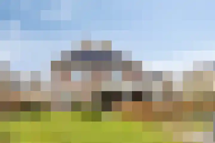Dennenhei 41 Best thumbnail 53