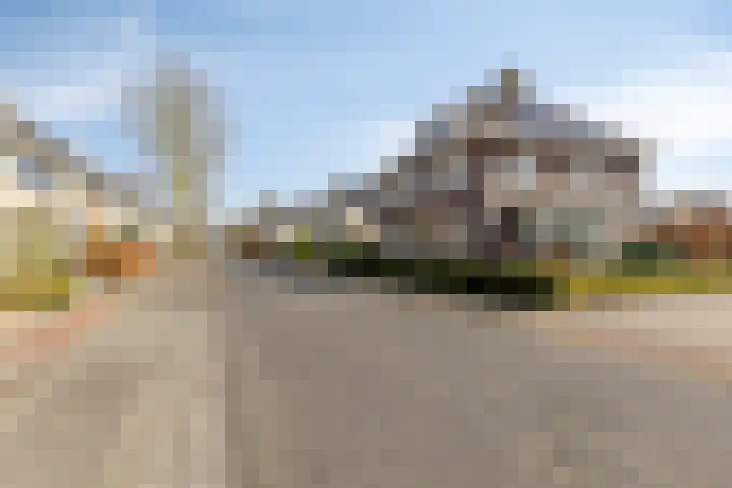 Dennenhei 41 Best thumbnail 54