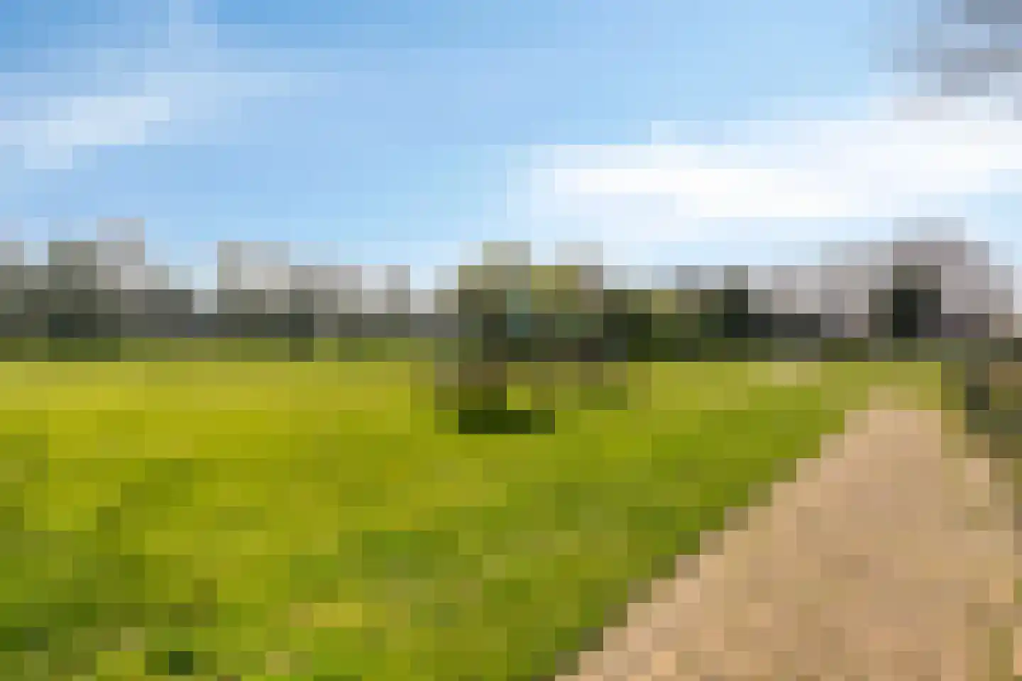 Dennenhei 41 Best thumbnail 56