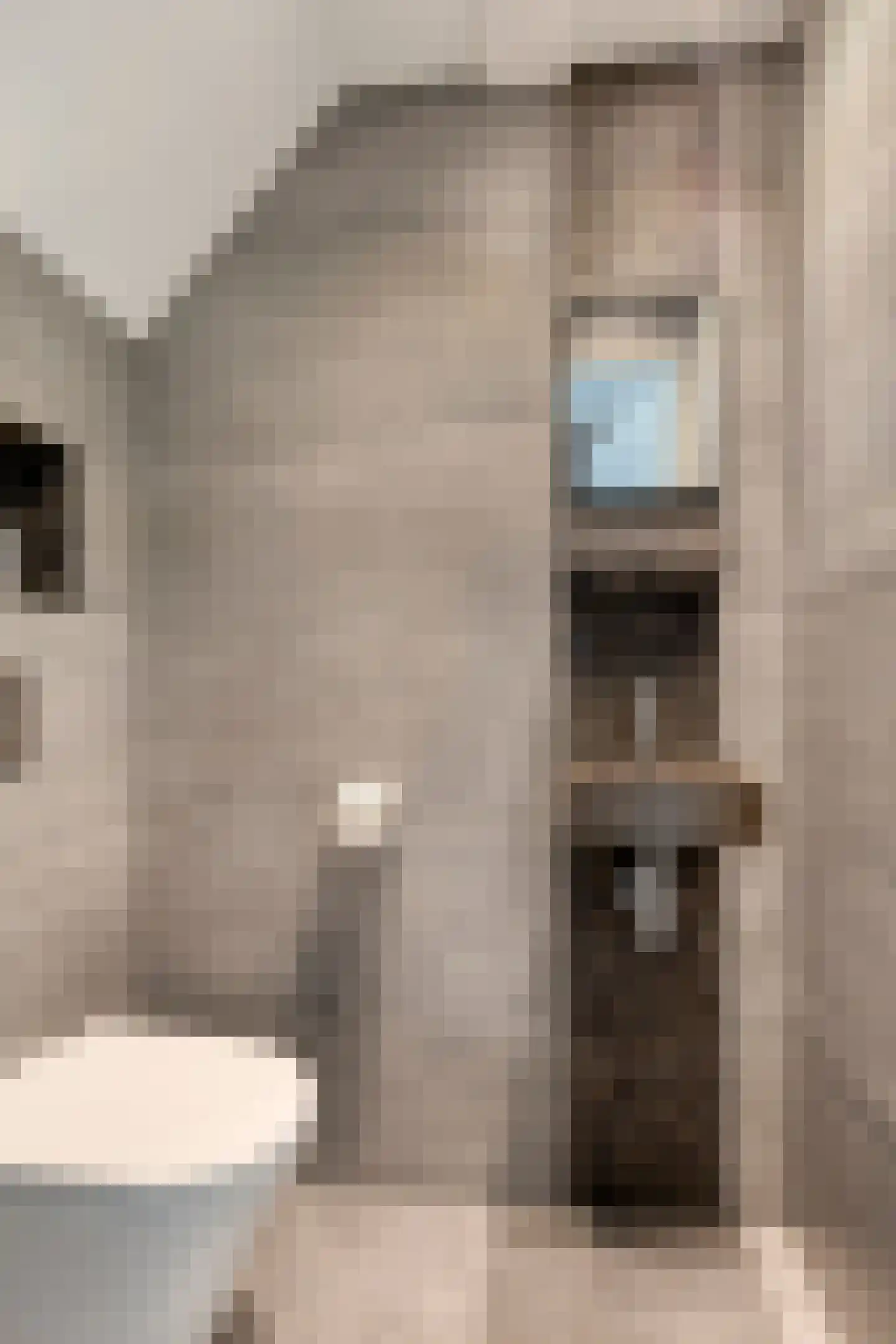 Dennenhei 41 Best thumbnail 7