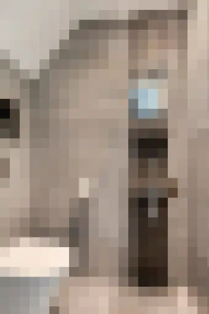 Dennenhei 41 Best thumbnail 7