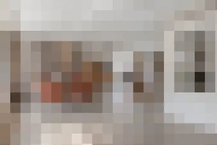 Dennenhei 41 Best thumbnail 8