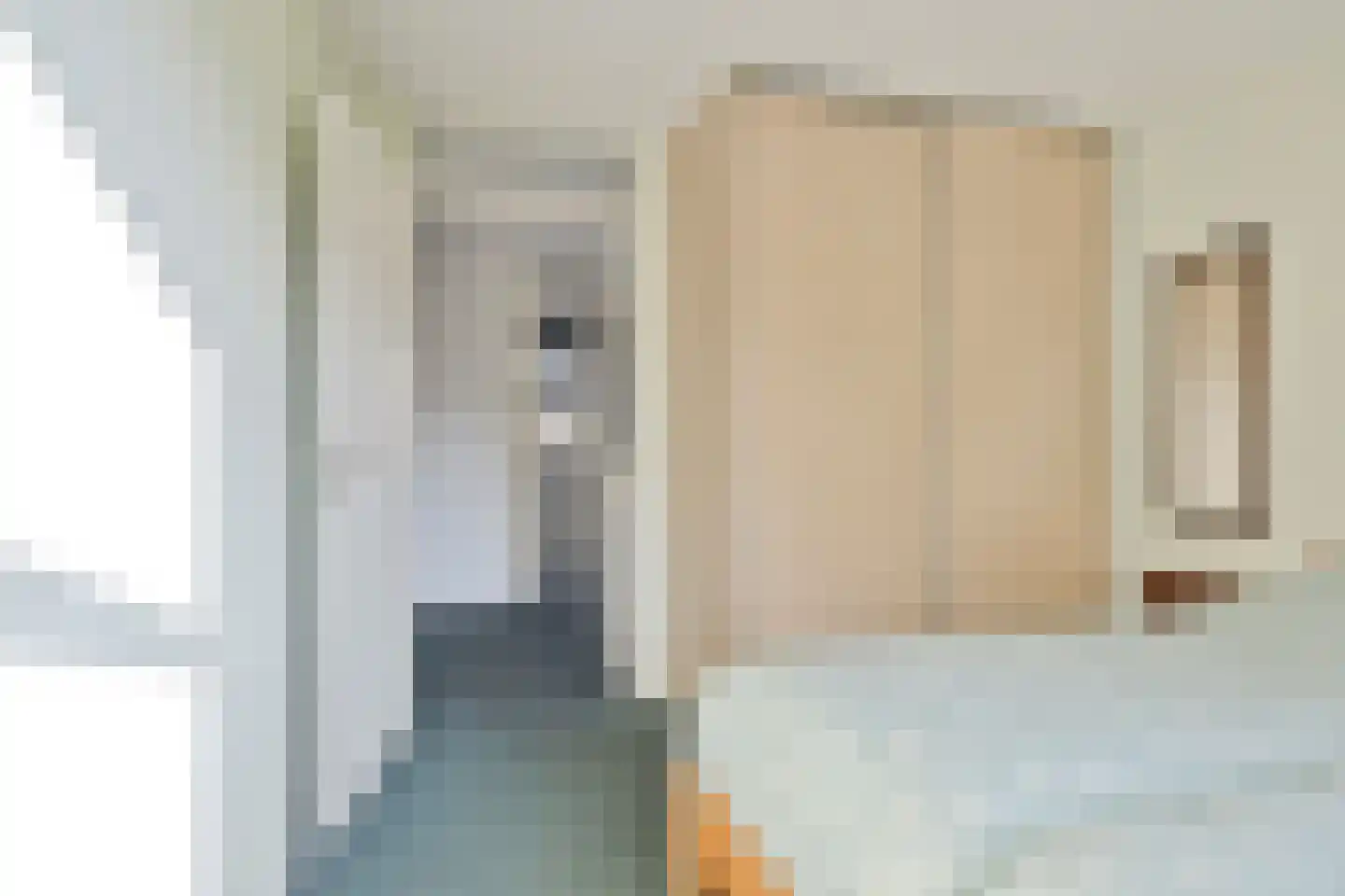 Dennenhei 46 Best thumbnail 24