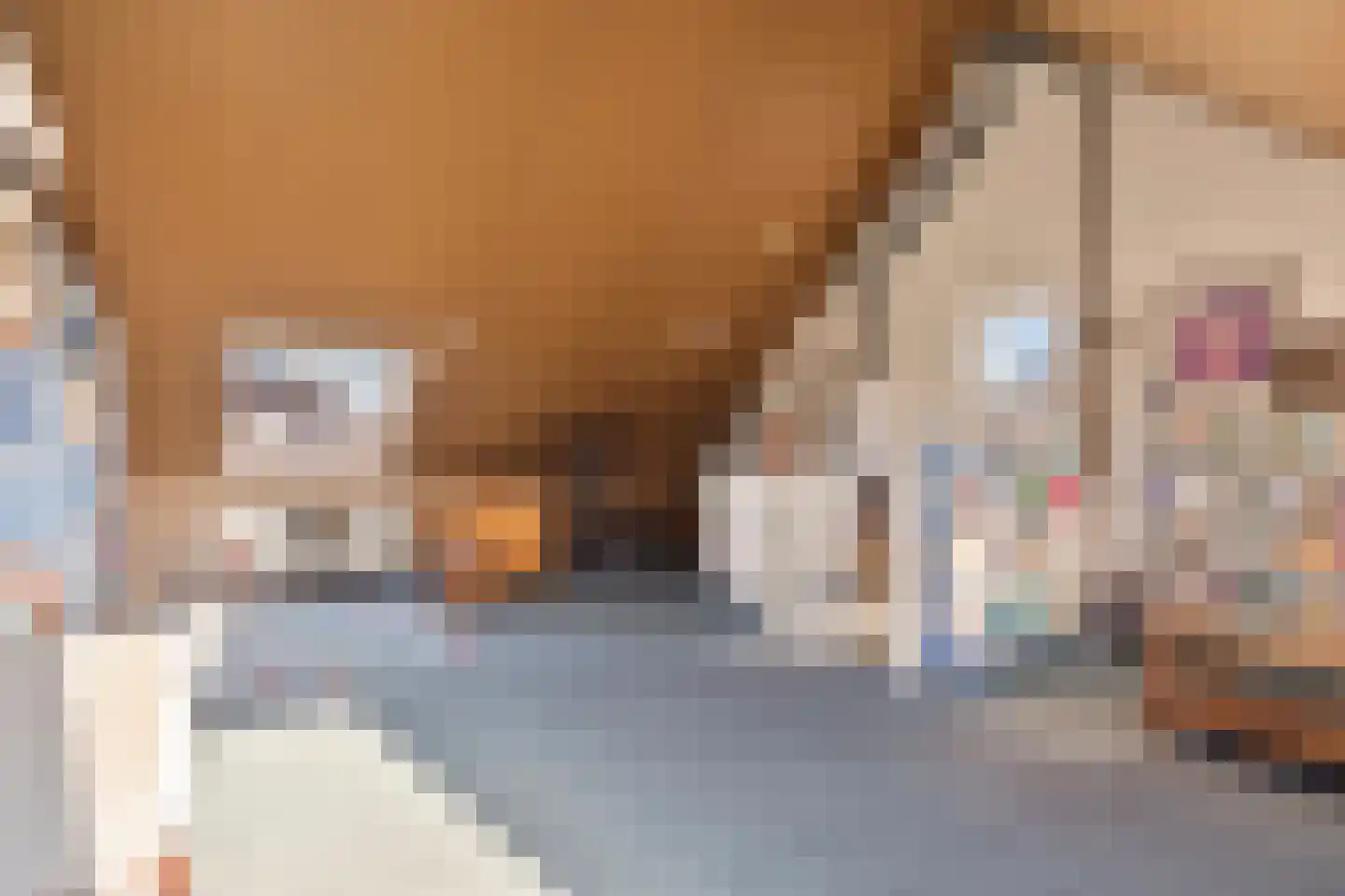 Dennenhei 46 Best thumbnail 36