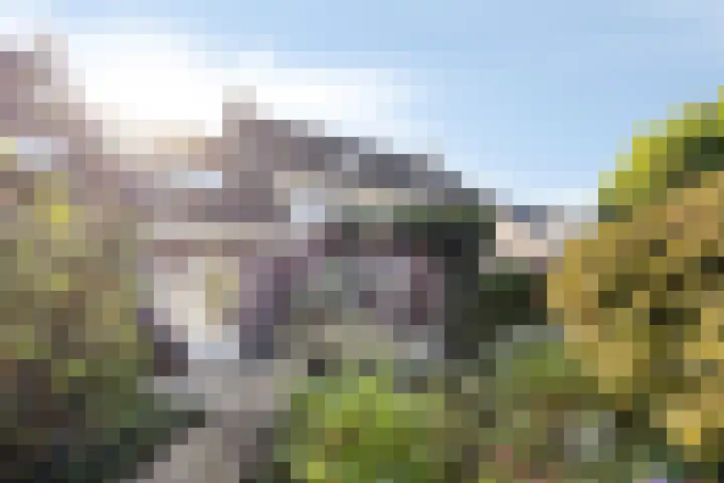 Dennenhei 46 Best thumbnail 37