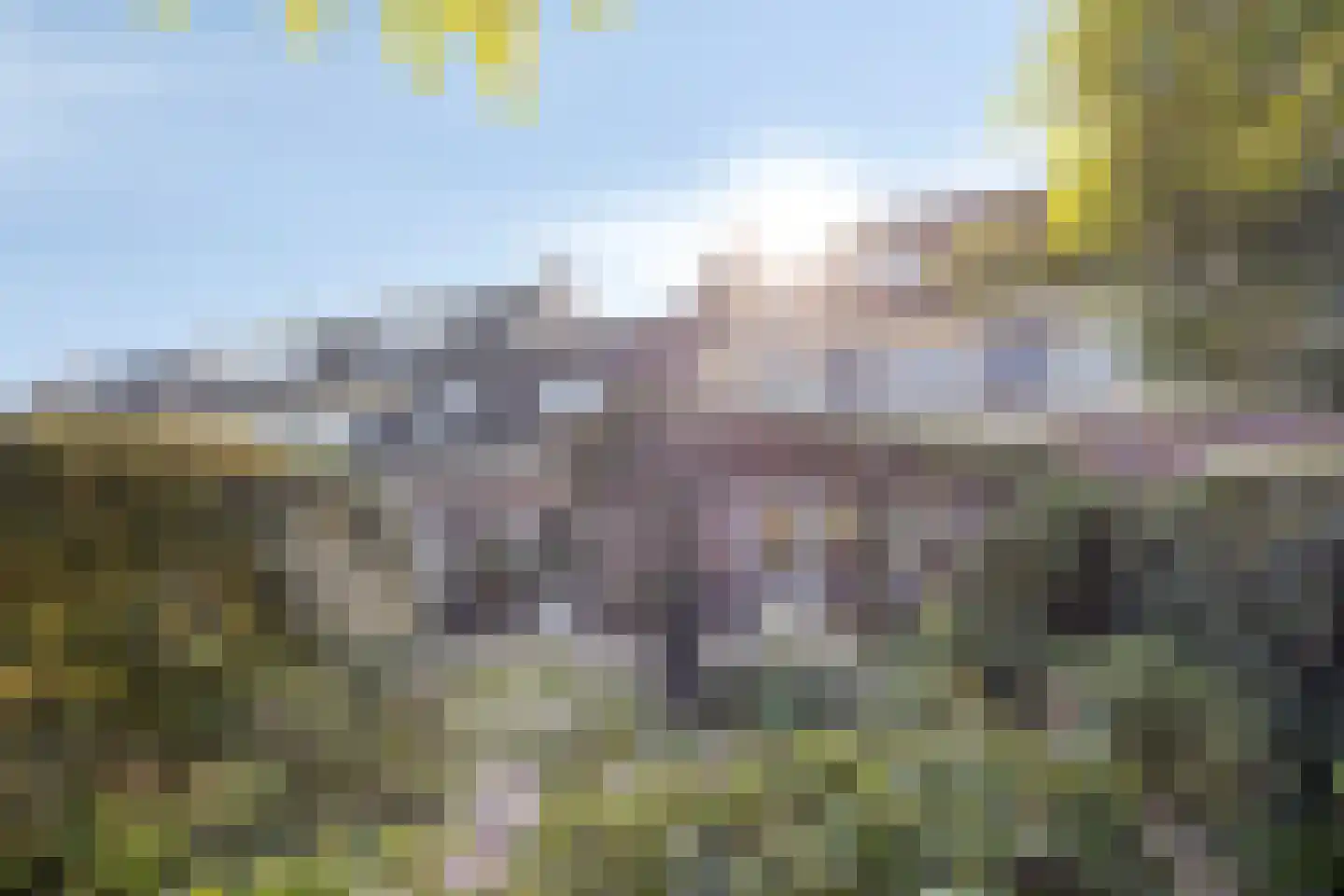 Dennenhei 46 Best thumbnail 38