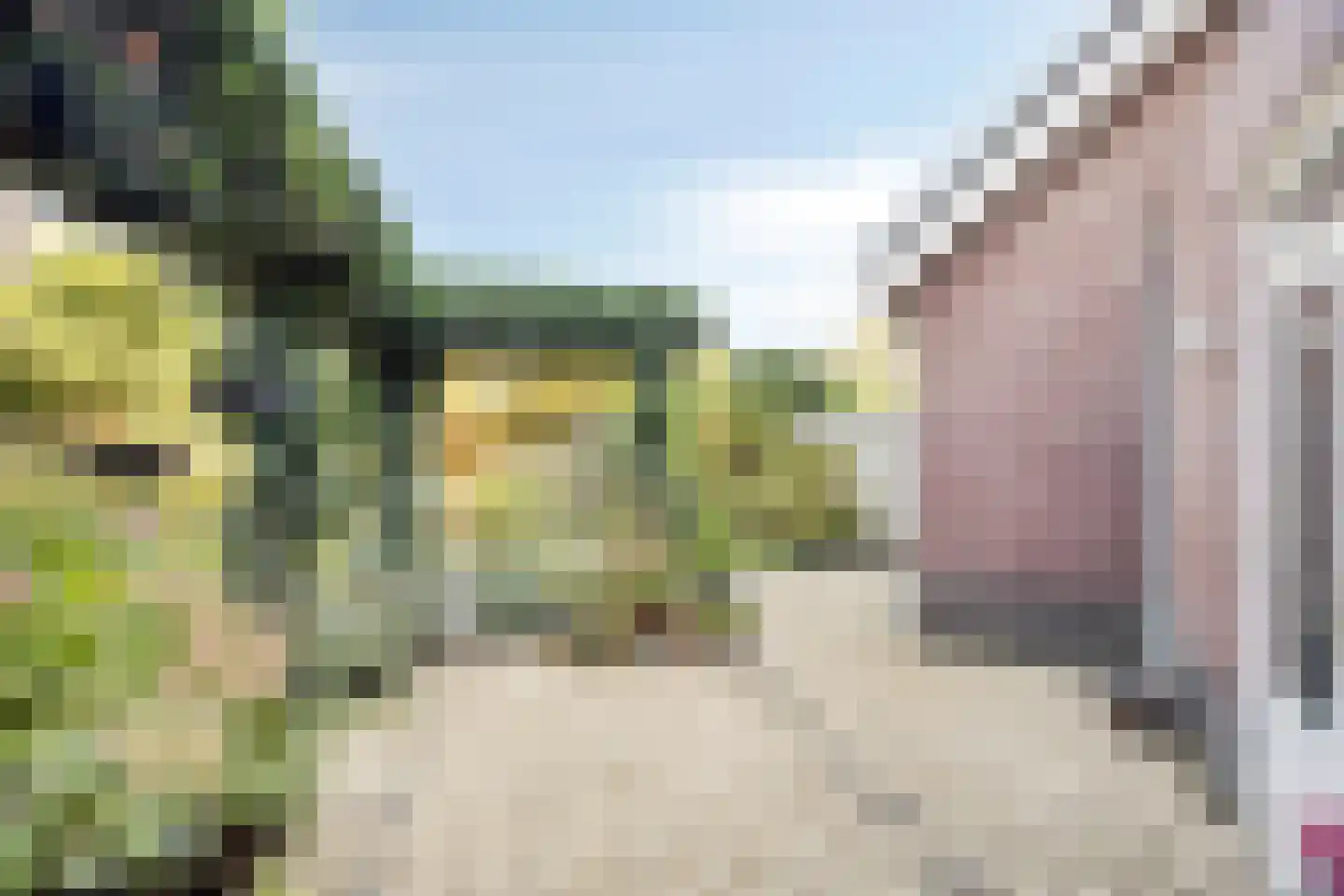 Dennenhei 46 Best thumbnail 39