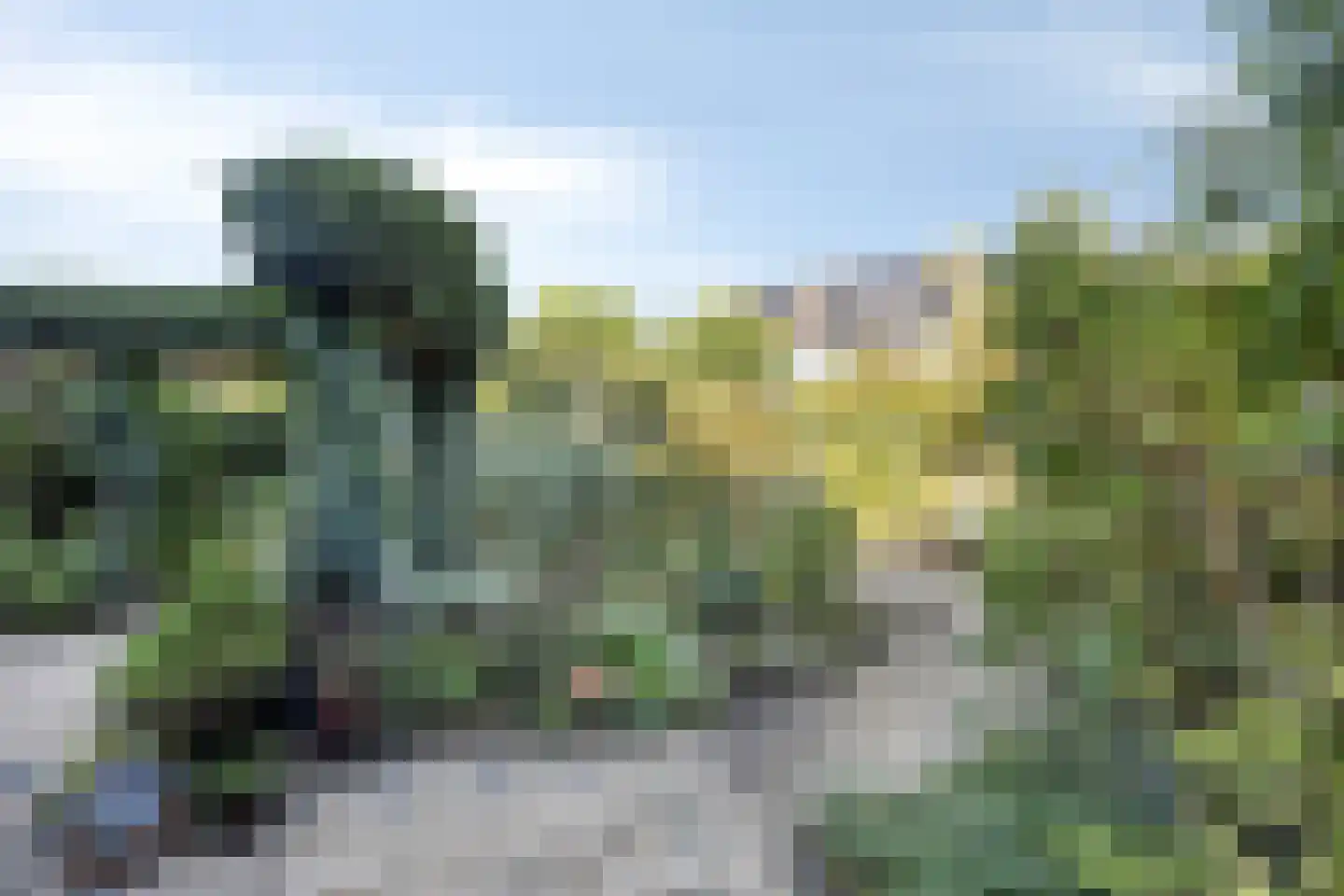 Dennenhei 46 Best thumbnail 40