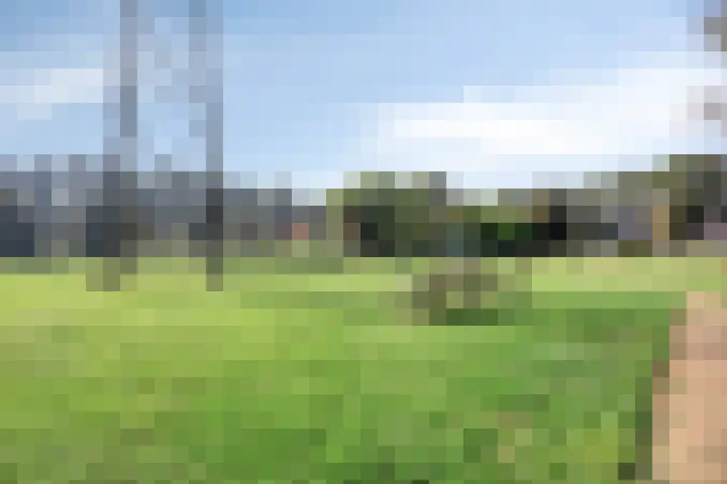 Dennenhei 46 Best thumbnail 43