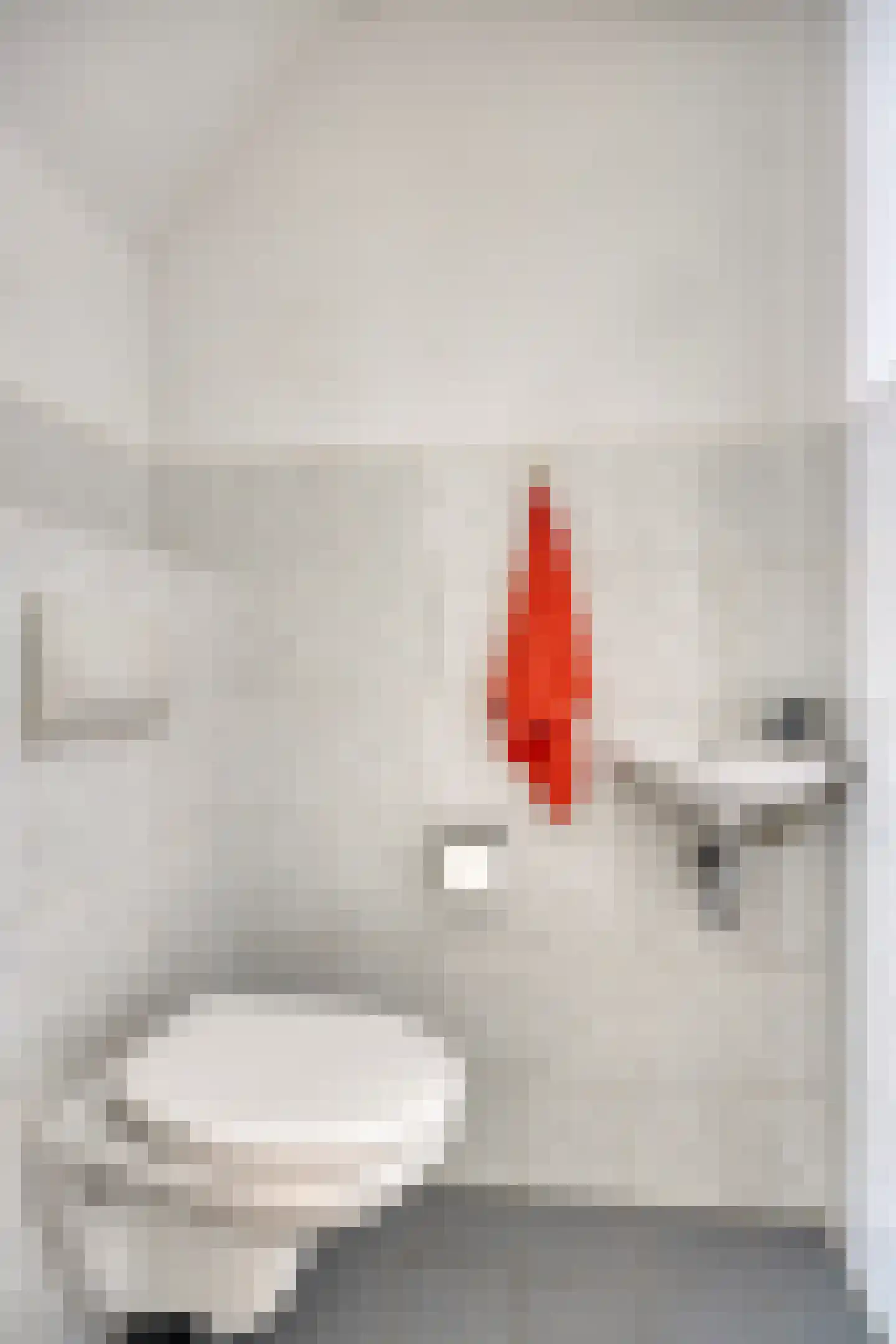 Dennenhei 46 Best thumbnail 7