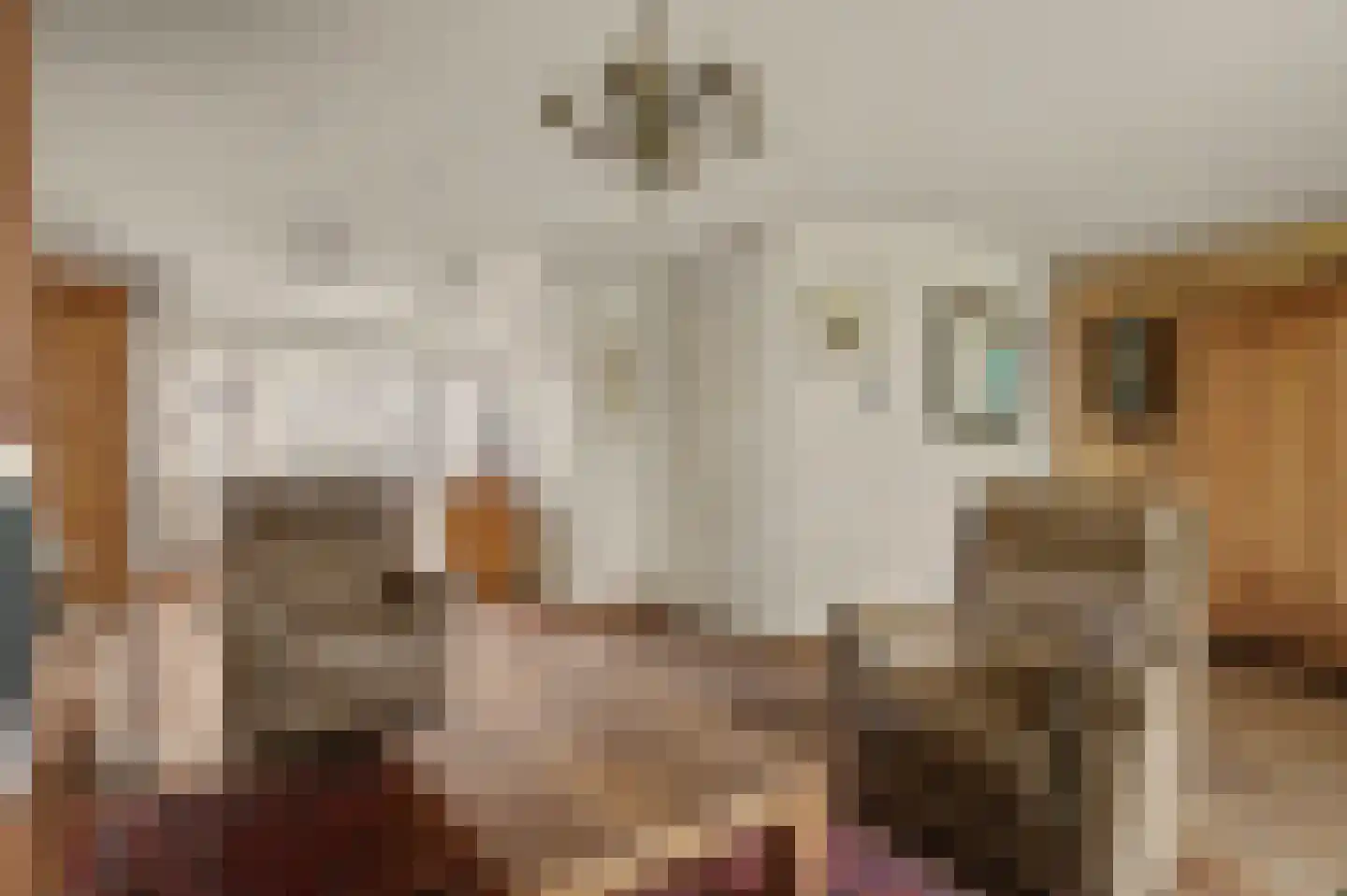Dennenhof 13 Made thumbnail 10