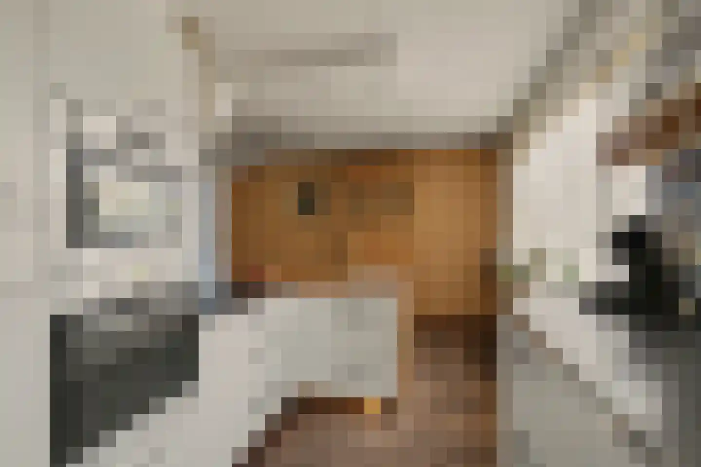 Dennenhof 13 Made thumbnail 17