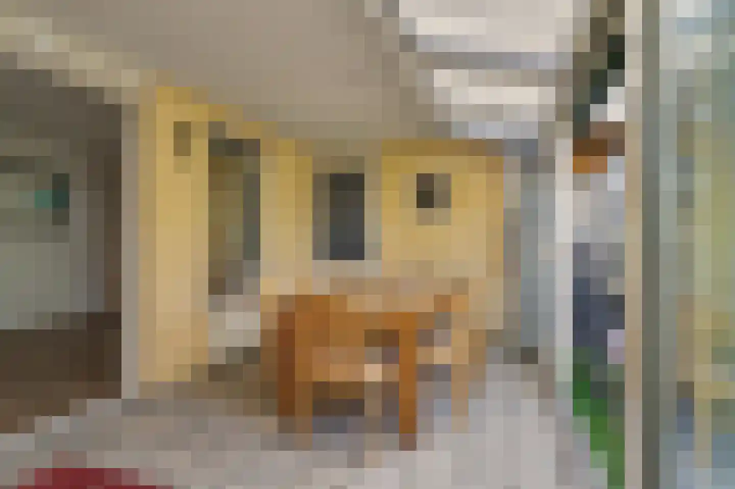Dennenhof 13 Made thumbnail 39