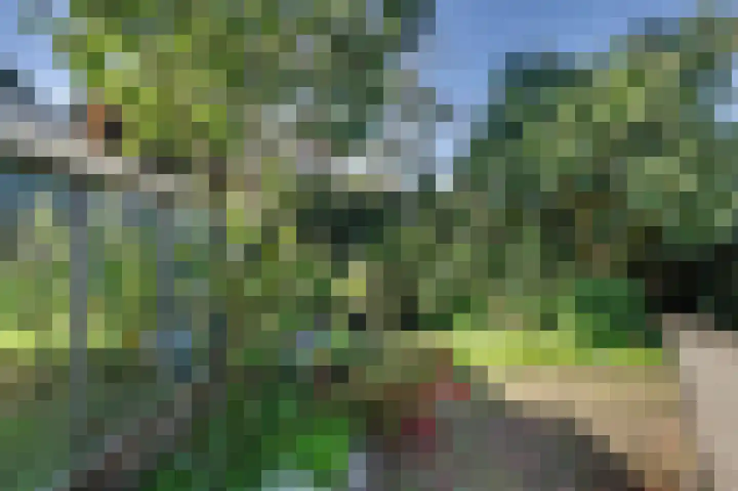 Dennenhof 13 Made thumbnail 41