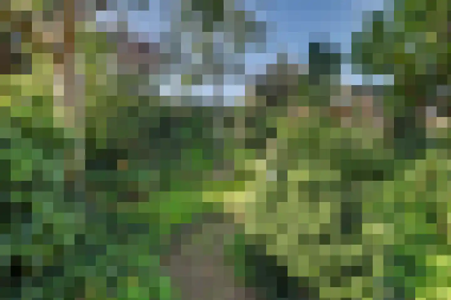 Dennenhof 13 Made thumbnail 44