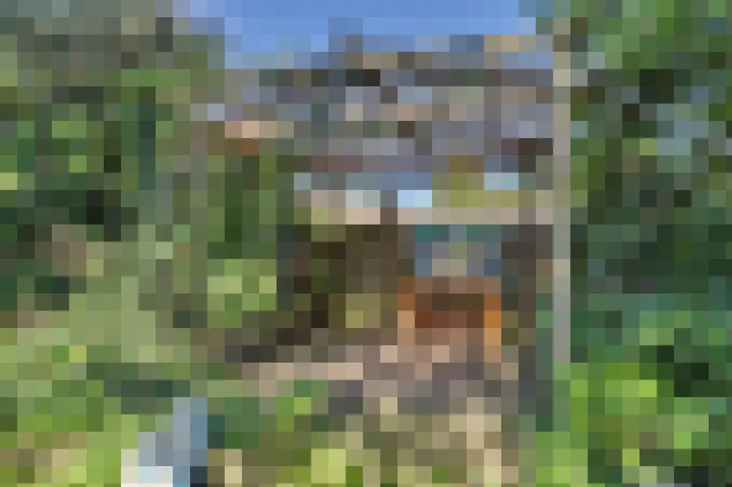 Dennenhof 13 Made thumbnail 45