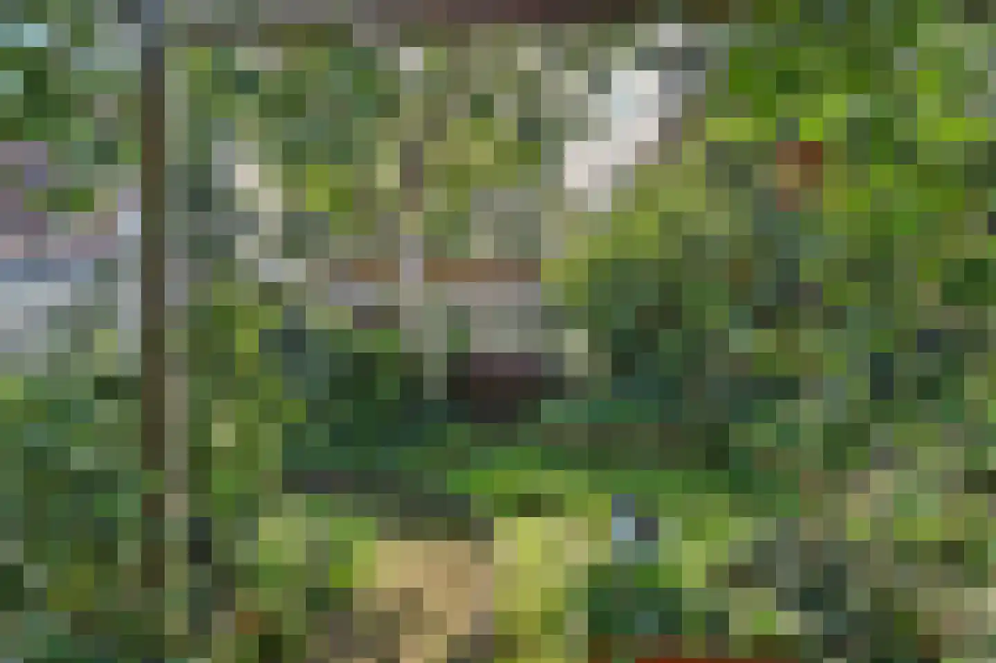 Dennenhof 13 Made thumbnail 46
