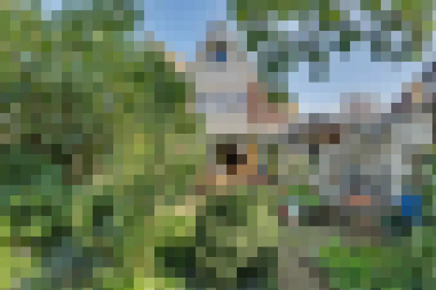 Dennenhof 13 Made thumbnail 47