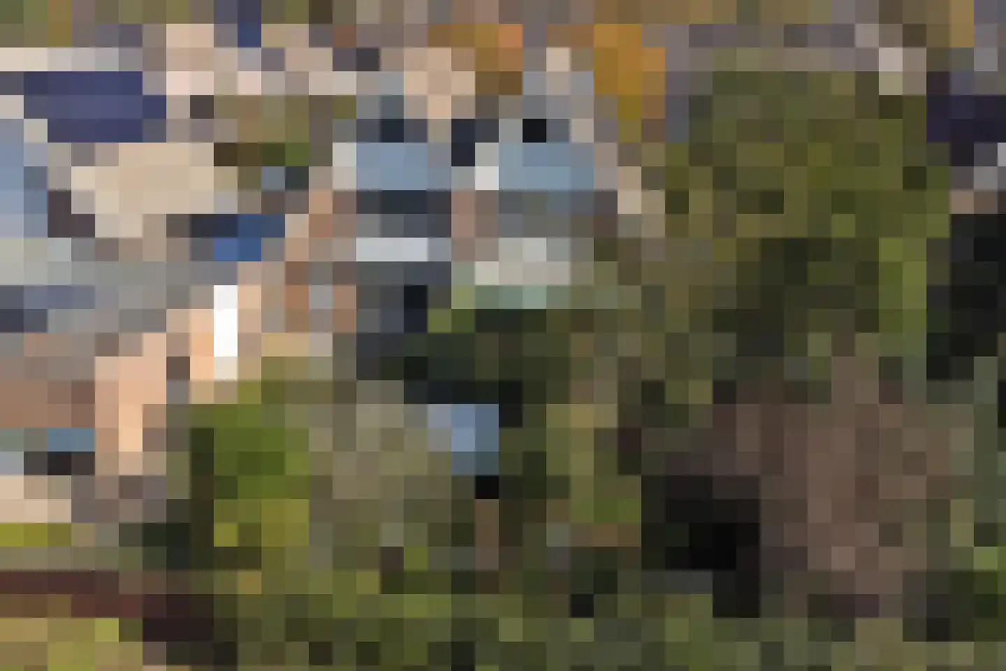 Dennenhof 13 Made thumbnail 48