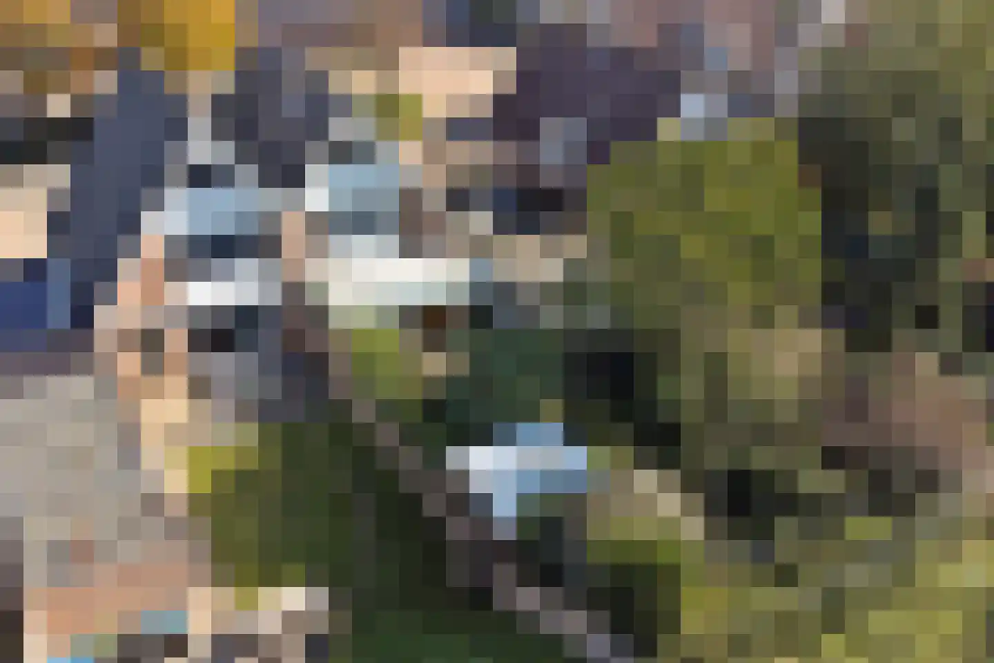 Dennenhof 13 Made thumbnail 49