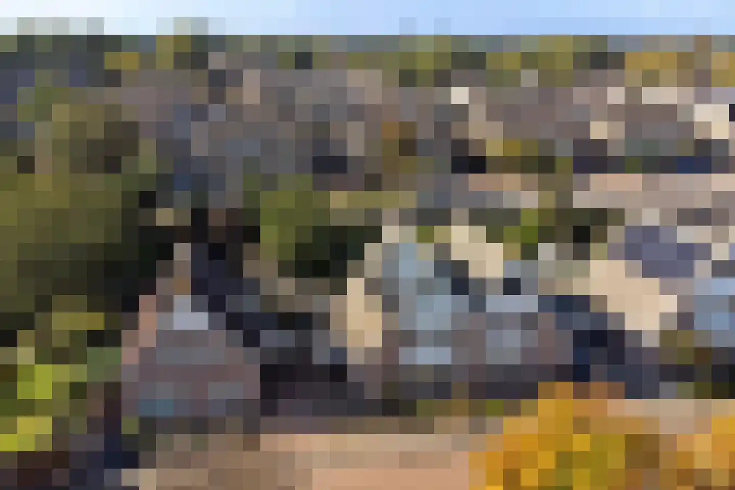 Dennenhof 13 Made thumbnail 51