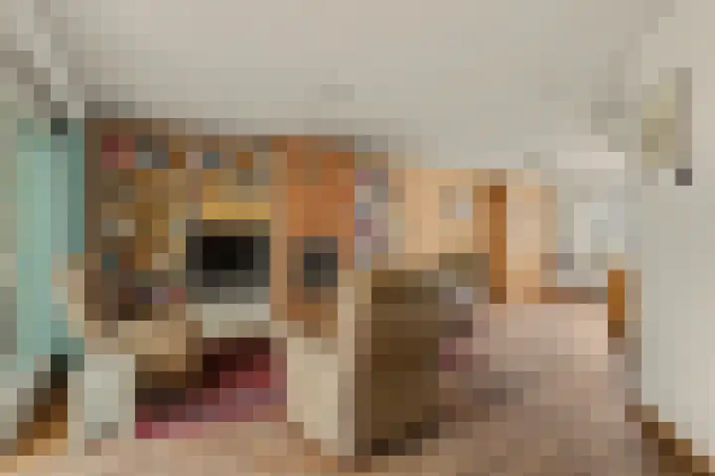 Dennenhof 13 Made thumbnail 8
