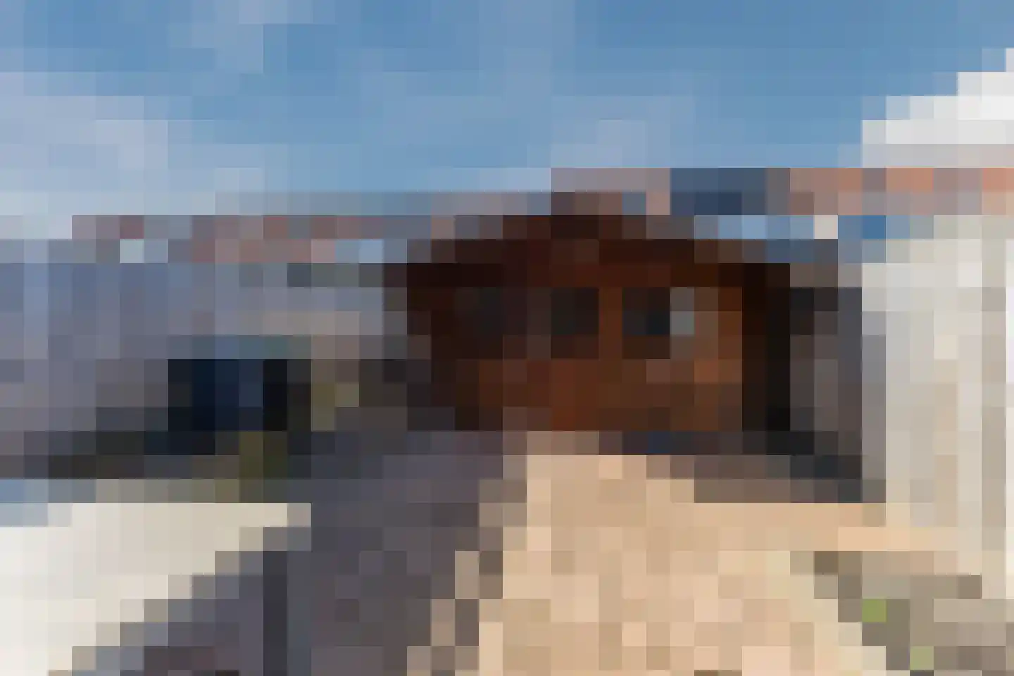 Dennenhof 13 Papendrecht thumbnail 30