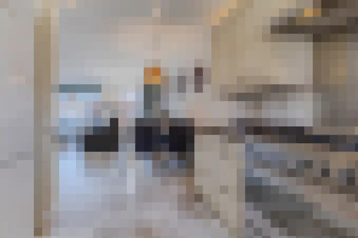 Dennenhof 13 Papendrecht thumbnail 9